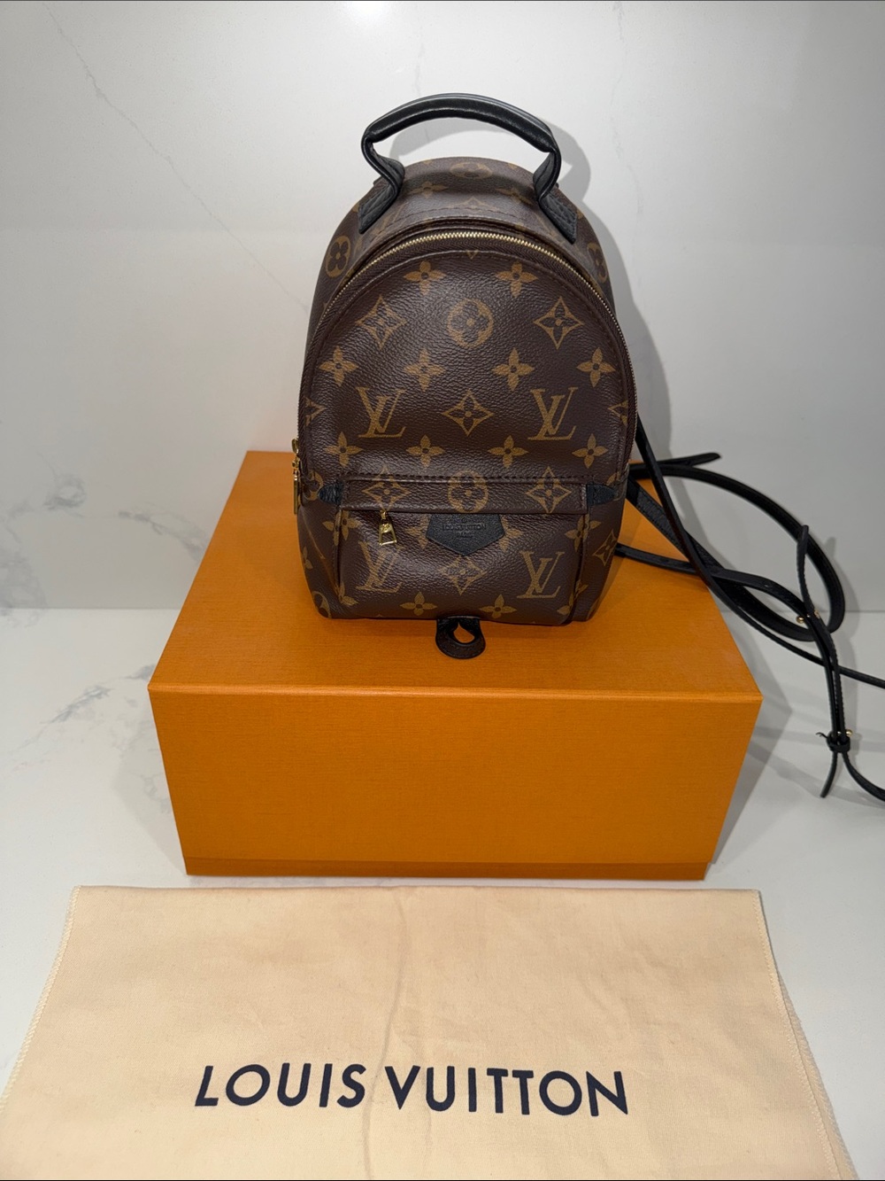 Authentic Louis Vuitton Palm Springs Monogram Canvas Mini bag, backpack in LV